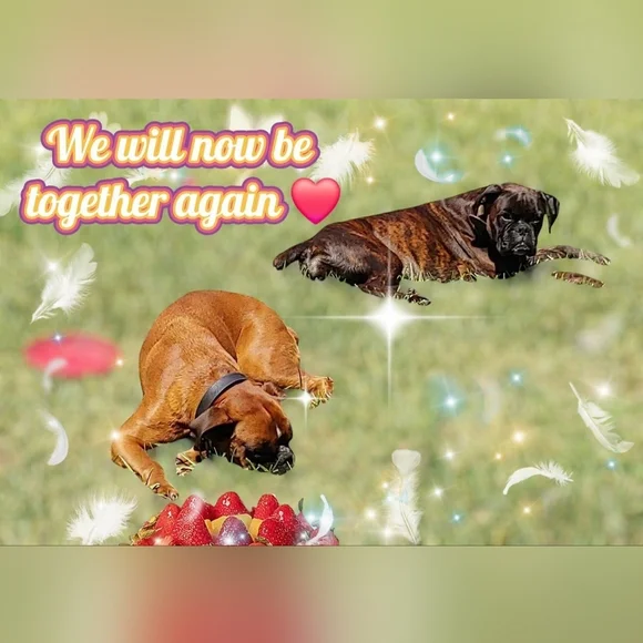 LIVE/SHARE SHOW - Picture 8 of 16